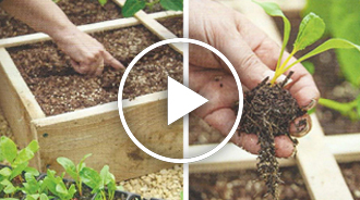 Method « Square Foot Gardening Foundation