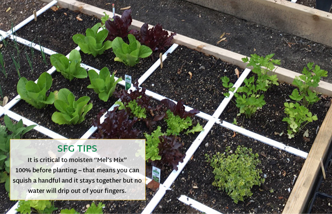 Method - Square Foot Gardening