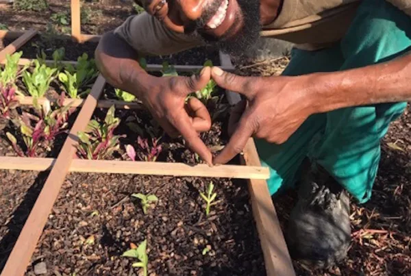 Square Foot gardening Humanitarian