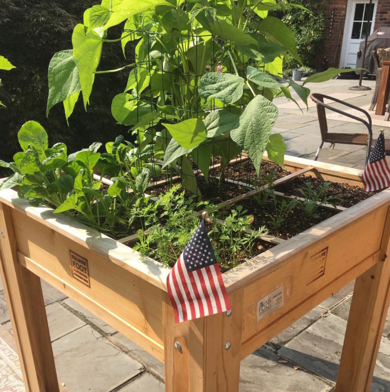Elevated Square Foot Gardening Boxes Help Everyone Garden! Square