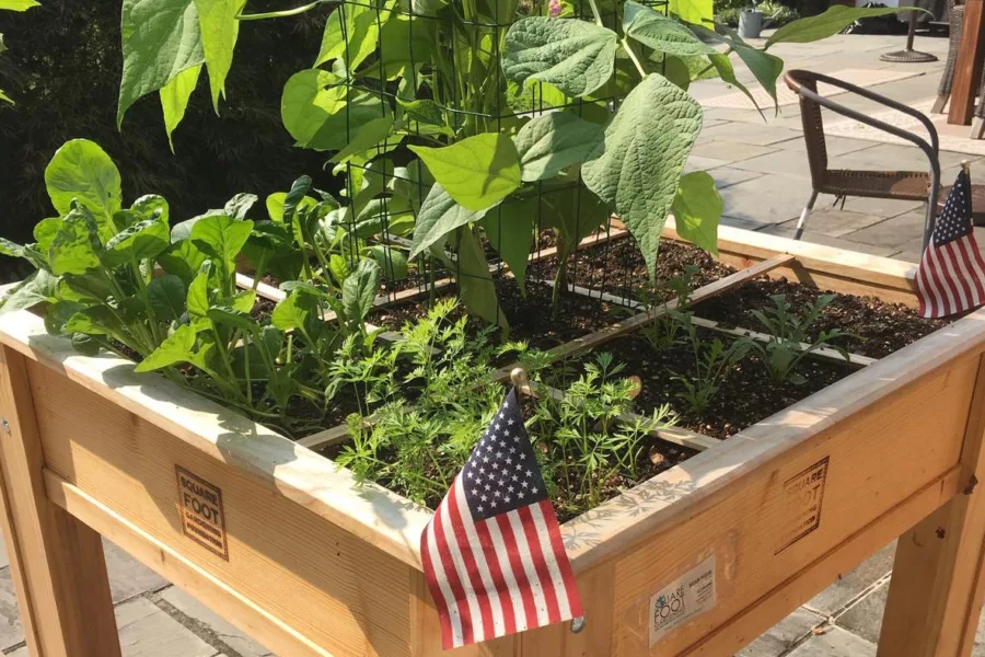 Elevated Square Foot Gardening Box