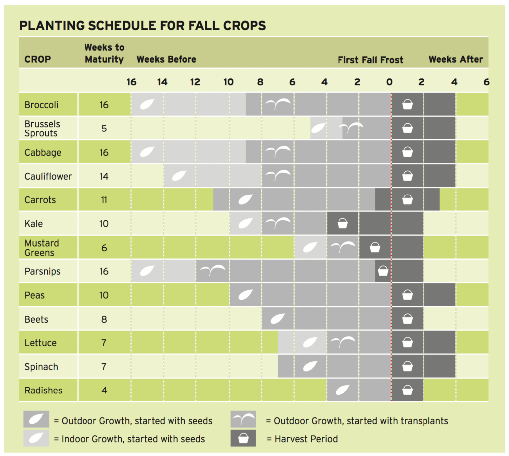 Square Foot Gardening Fall Planting Chart
