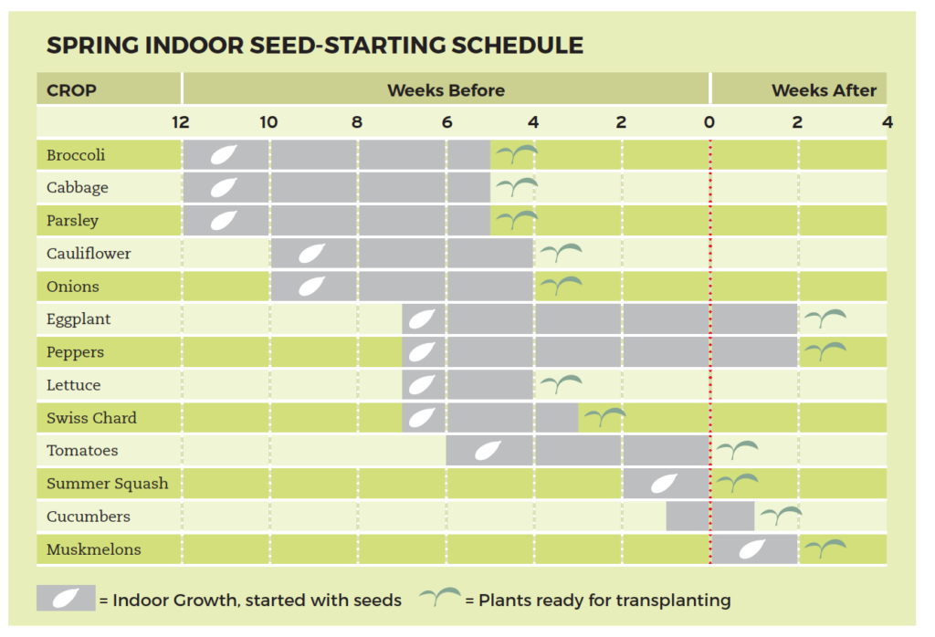 Planting Chart Cheat Sheets Square Foot Gardening - Zone 8b Gardening Calendar