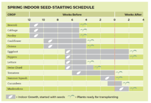 Planting Chart Cheat Sheets - Square Foot Gardening