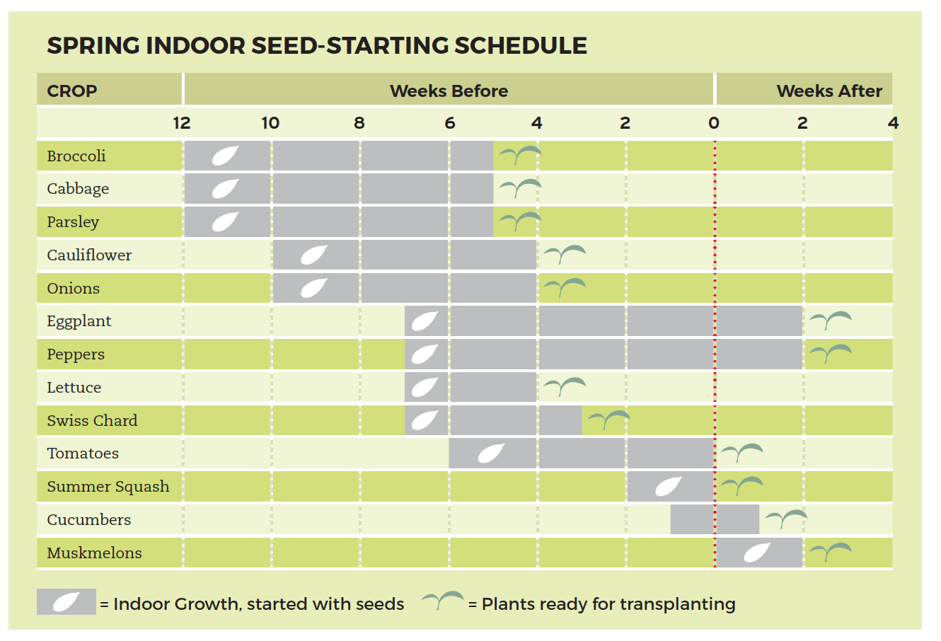 Seed Starting Chart