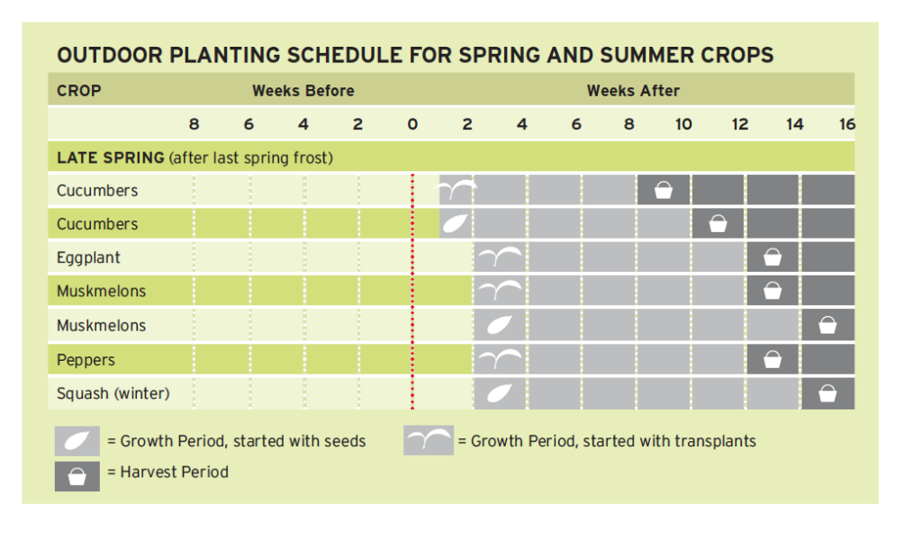 Square Foot Gardening Planting Chart