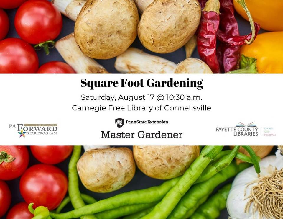 Square Foot Gardening Workshop
