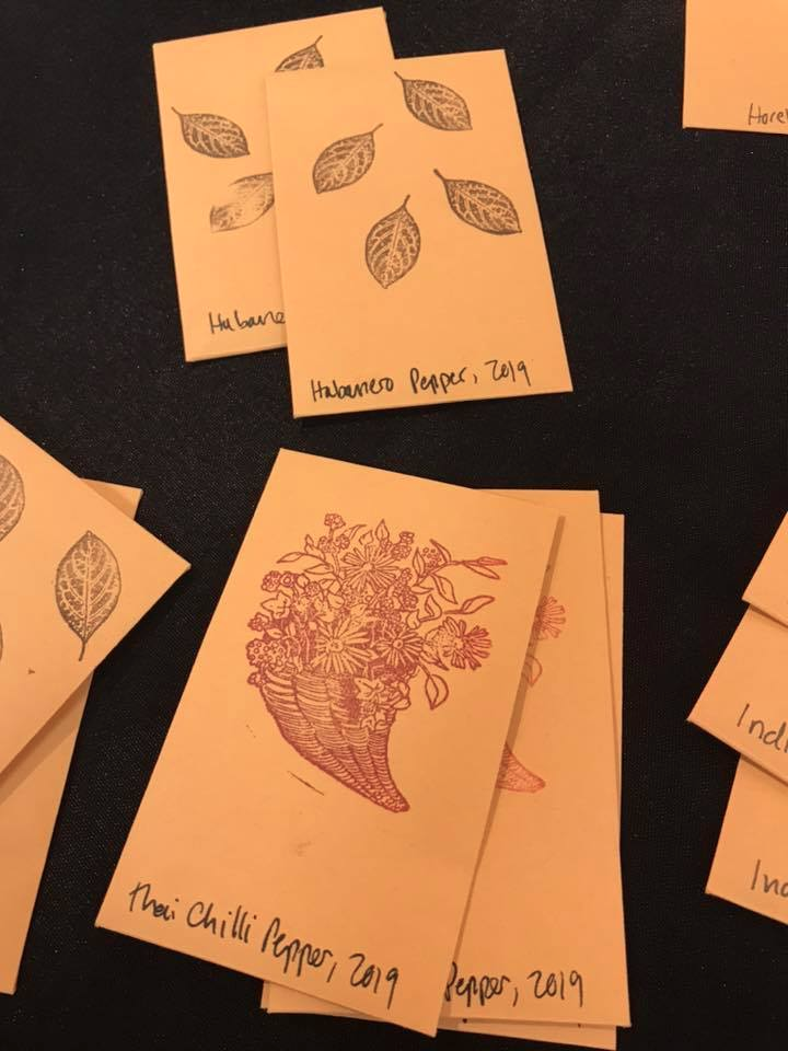 Seed Packets