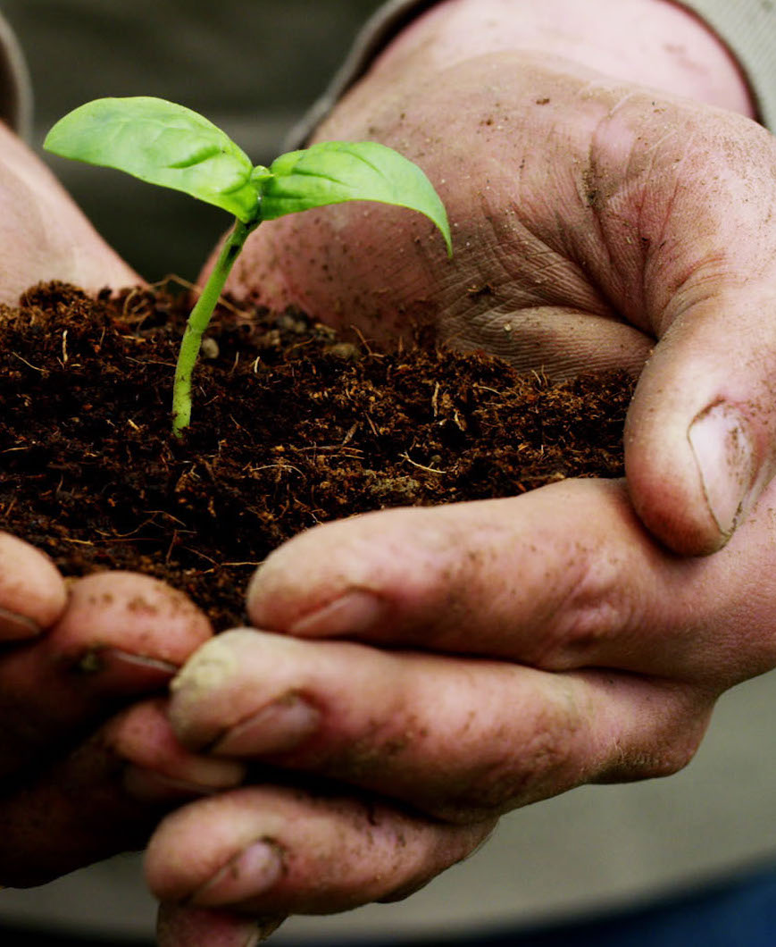 Why is Peat Moss an Important Part of your SFG Mel's Mix™? Square