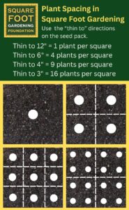 square foot gardening plant spacing