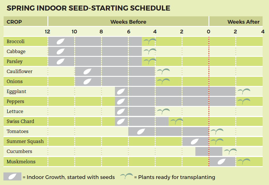 Spring Indoor Seed-Starting Schedule 
