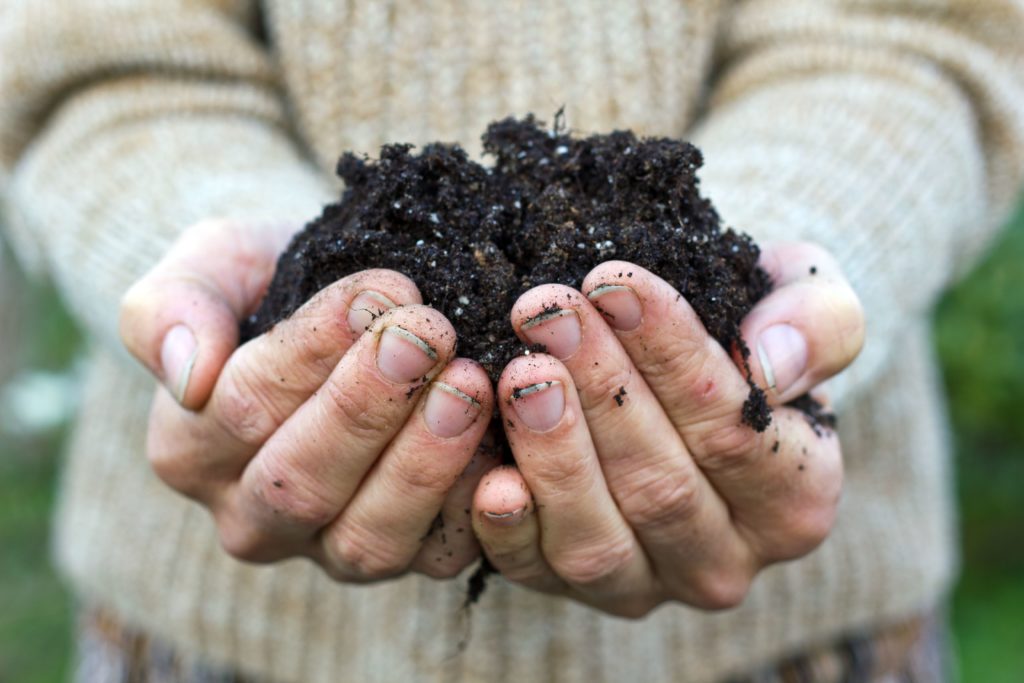 Hands holding compost
