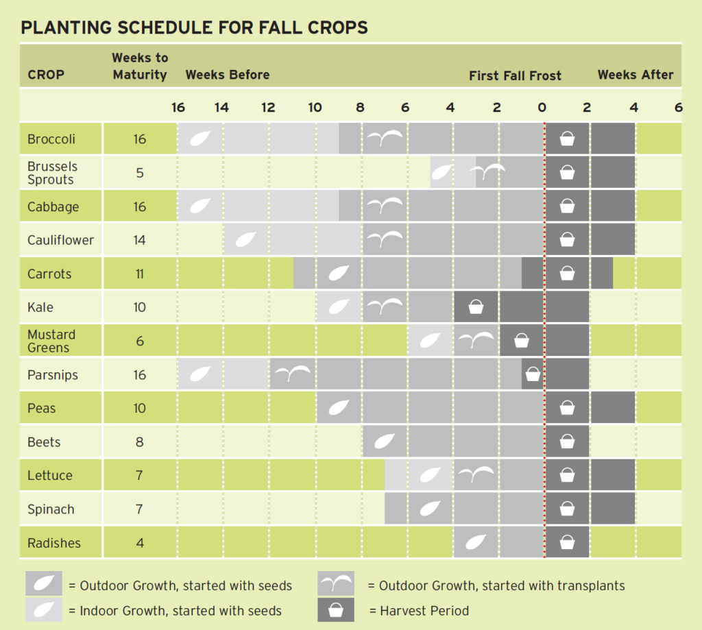 Fall Planting Chart