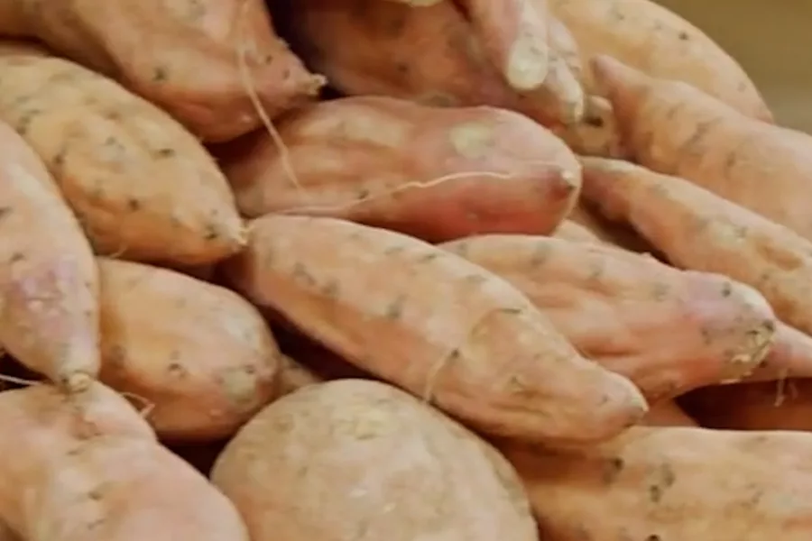 Sweet Potatoes or Yams?