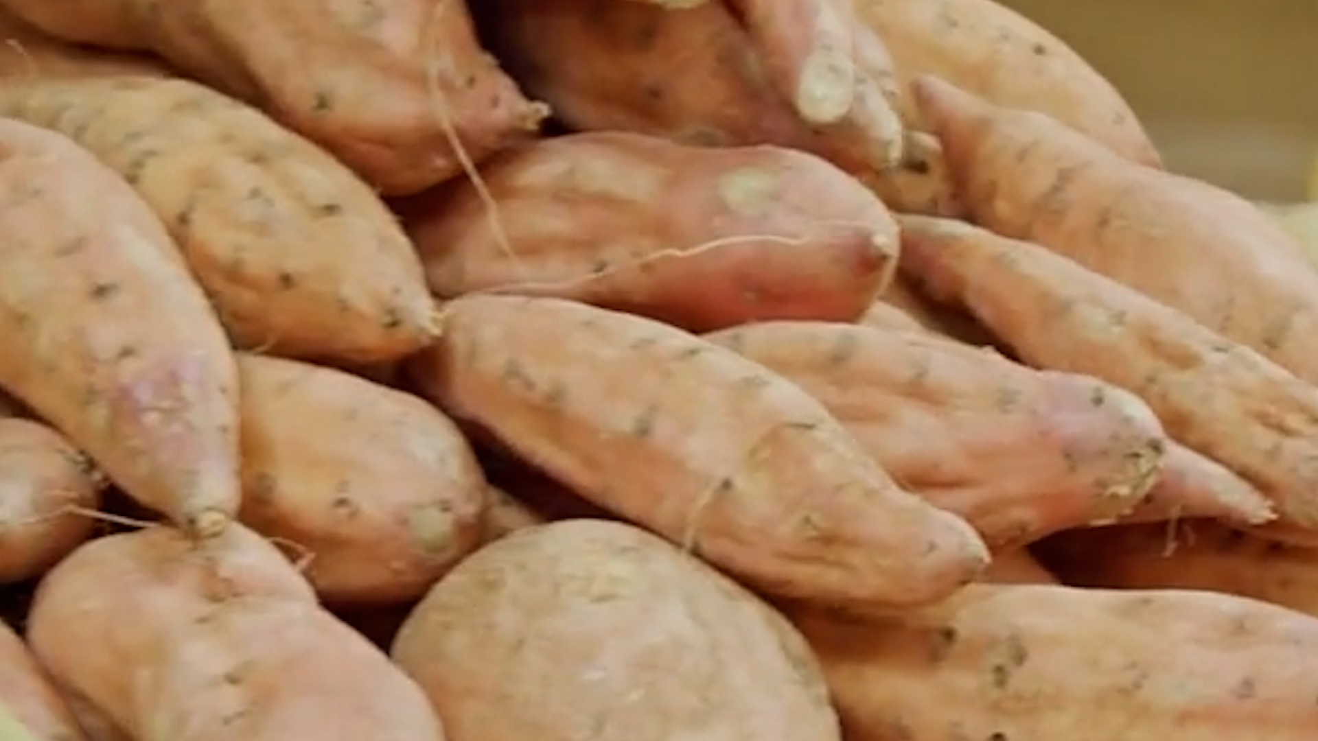 Sweet Potatoes or Yams?