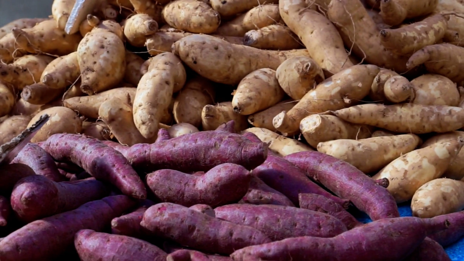 Sweet Potatoes or Yams?