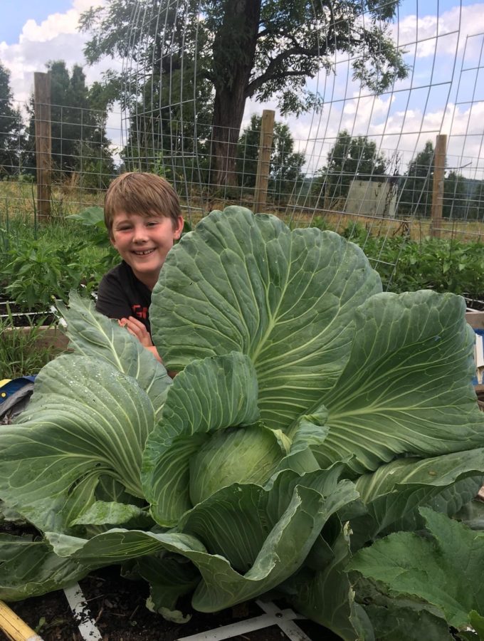 Welcome To Square Foot Gardening Foundation Official Site