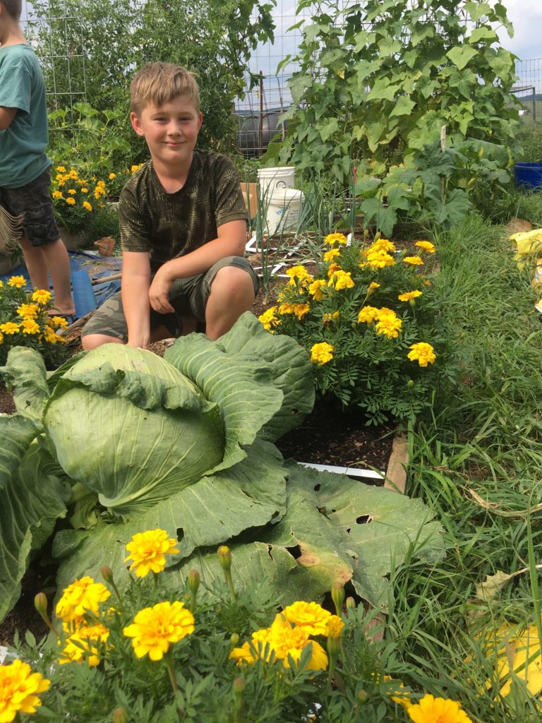 Square Foot Gardening with Kids