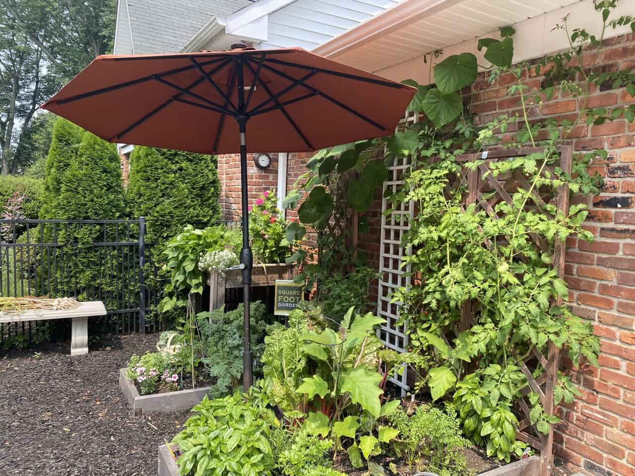 Using Shade Cloth in the Summer Square Foot Garden