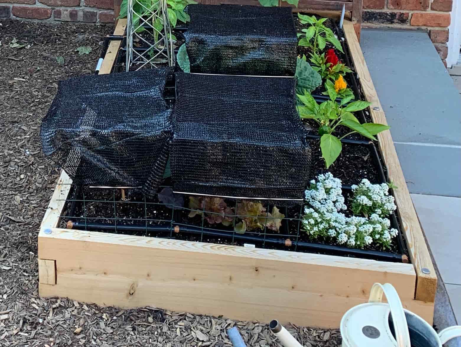 Using Shade Cloth in the Summer Square Foot Garden