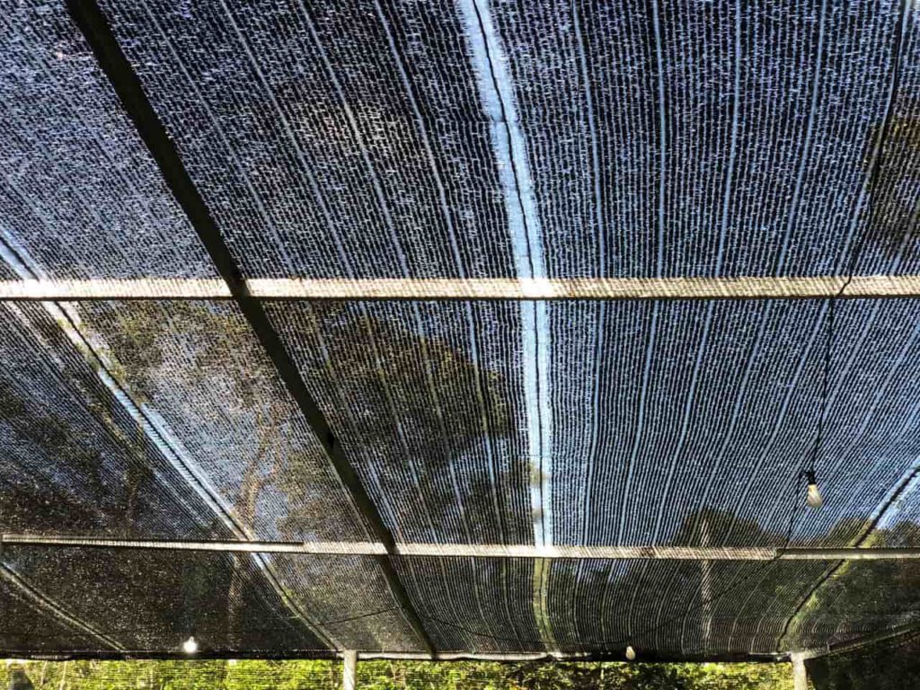 Using Shade Cloth in the Summer Square Foot Garden