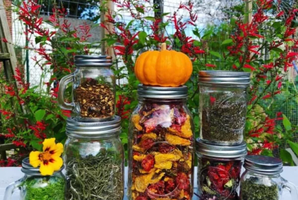 preserved square foot garden harvest