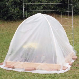 Create a tool-free hoop house with pre-cut PVC pipe
