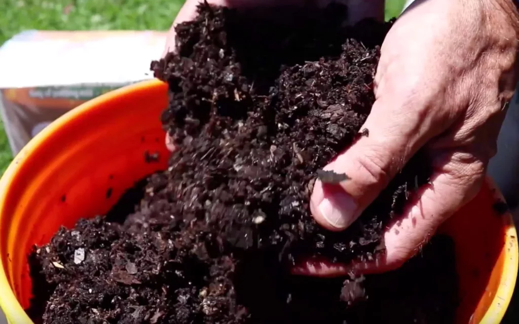 Finished compost feels fluffy and smells earthy.