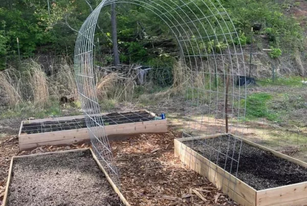 trellis