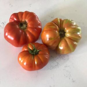 Linda_Rosin_beefsteak_tomatoes 
