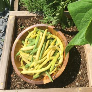 String_beans