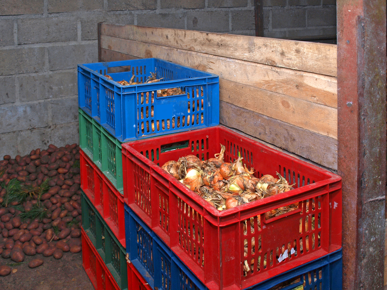 Long Term Storage of Your SFG Potatoes, Onions, Winter Squash
