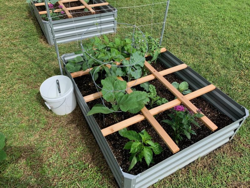 Square Foot Gardening Foundation