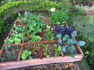 square foot gardening bed with grids
