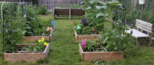 Raised beds to teach the children of the Helping Hands Learning Academy how to SFG.