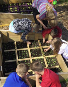 kids planting_Onalaska School Wisconsin