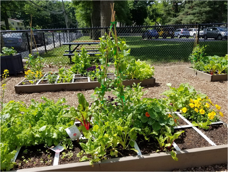 Community Garden - Certified Instructor Projects - Square Foot Gardening