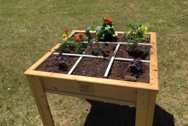elevated square foot gardening bed