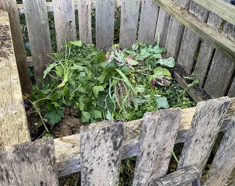 compost pile