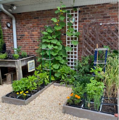 Square Foot Garden