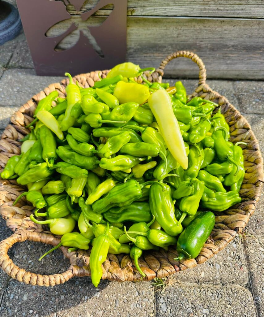 peppers in a basket