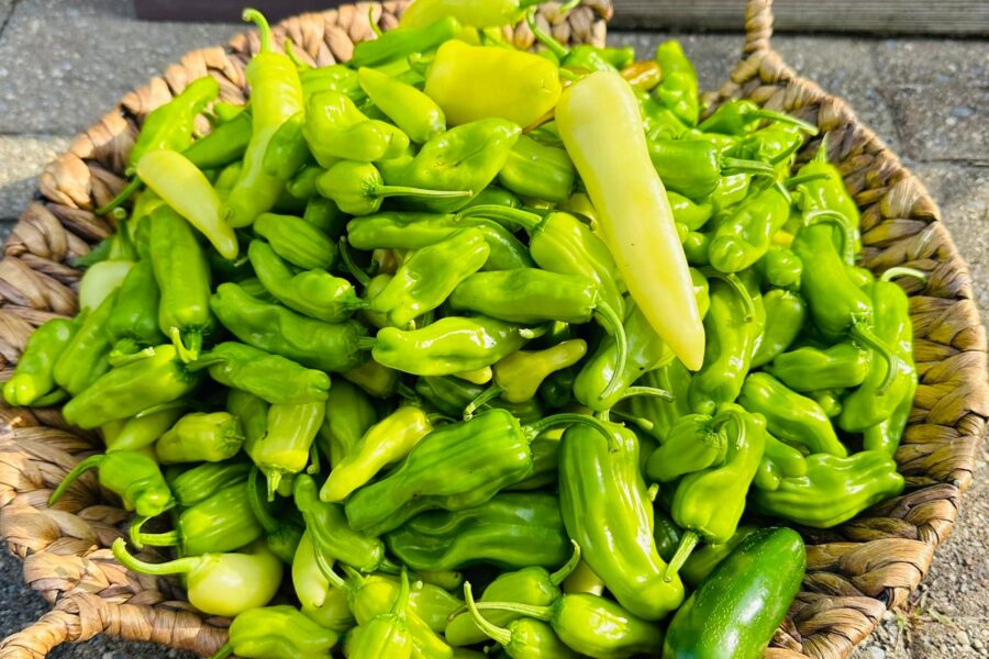 peppers in a basket