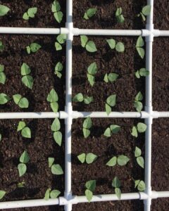 square_foot_gardening_grid_closeup_pipe
