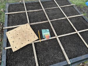 planting carrot in a square foot garden with a pencil and template