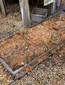 square foot gardening bed mulch
